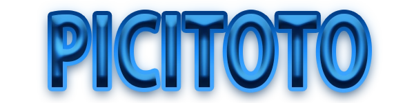 PICITOTO Logo